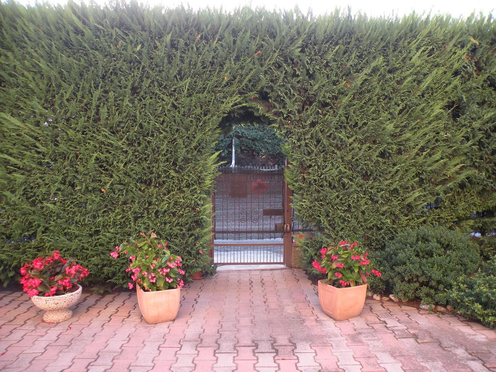 Willa Casa Oriana Rosolina Zewnętrze zdjęcie